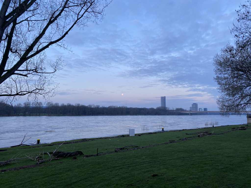 2024-02-27 Rhein 0046 k.JPG